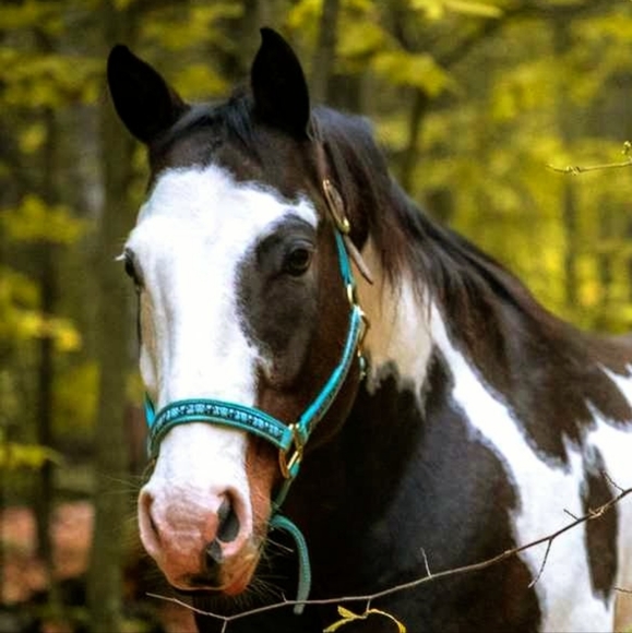Meet your Posher, Jane - Picture 4 of 4